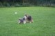 Thumbs/tn_Bild 027.jpg